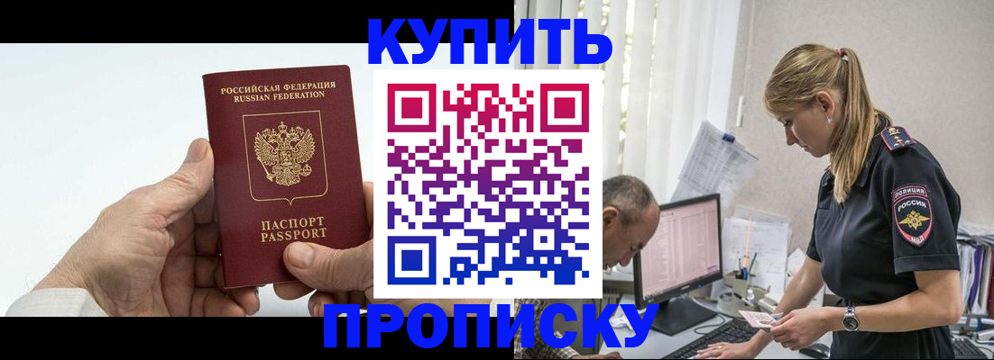 прописка поиск в Зиме